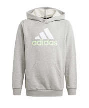 adidas Kid's Ess Big Logo Hoodie Grey/Green Spark