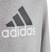 Adidas Kid's Big Logo II Hoodie Grey