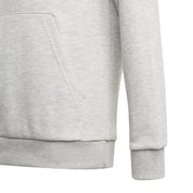 Adidas Kids Big Logo Hoodie Grey