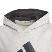 Adidas Kids Big Logo Hoodie Grey