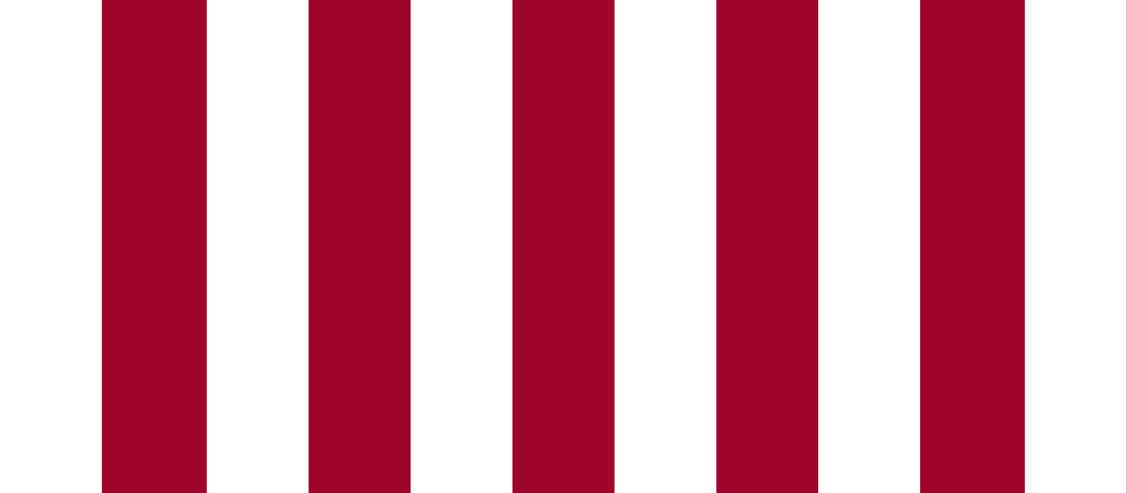 HOMEPAGE_BANNER_Sea_Eagles_NRL.png