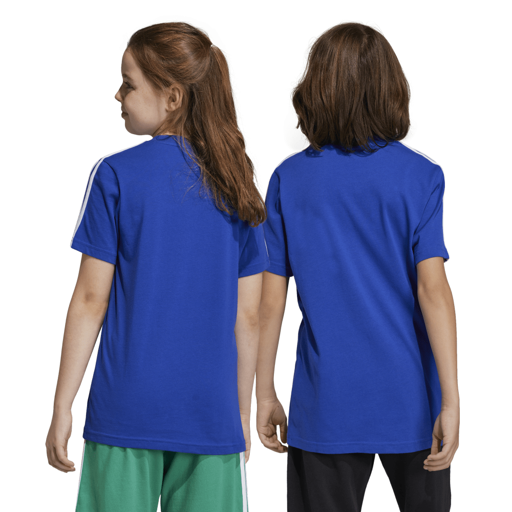 IC0604_7_APPAREL_OnModel_StandardUnisexBackView_transparent.png