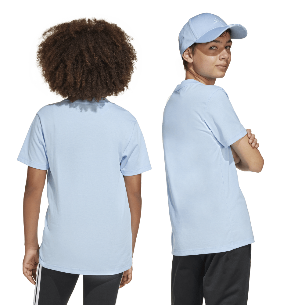 JC9665_8_APPAREL_OnModel_StandardUnisexBackView_transparent.png