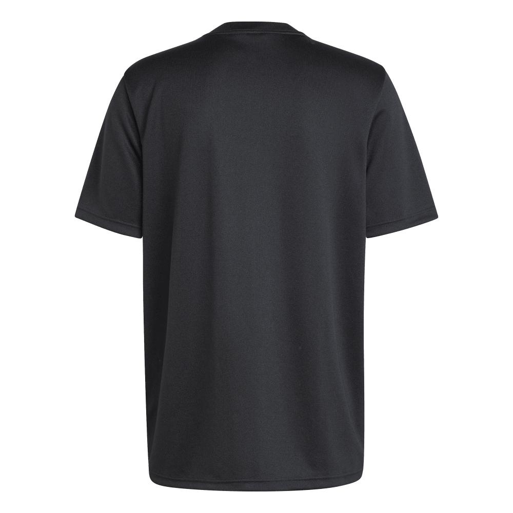 All Blacks Home Supporters T-Shirt 2024/2025