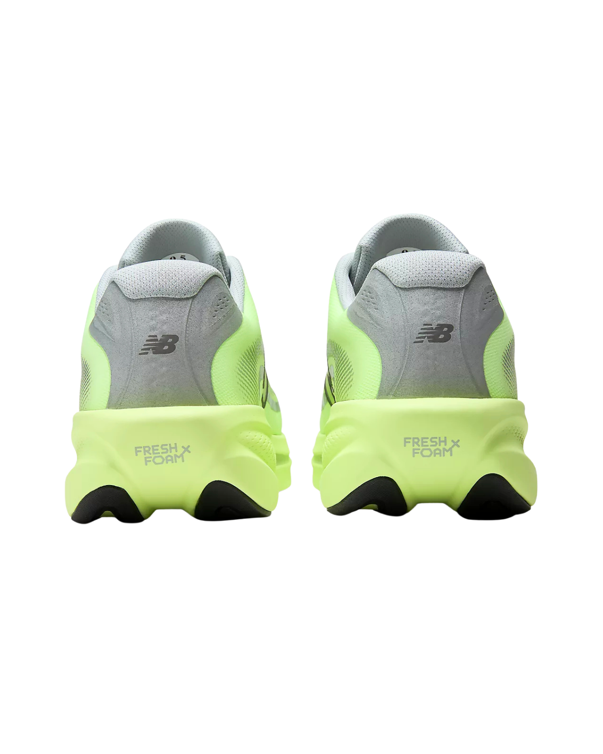 New Balance Men's Fresh Foam X Ellipse Standard (D) Shoe Afterglow