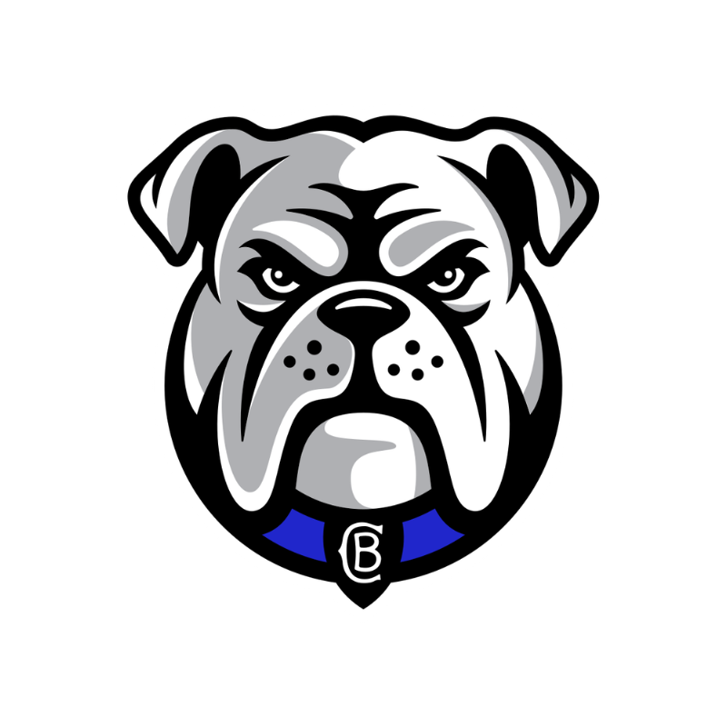 NRL_Bulldogs_logo.png