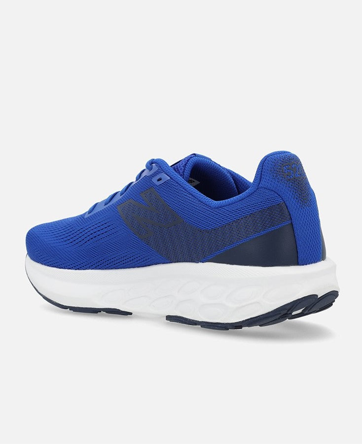 New Balance Men's Fresh Foam 520 v9 Standard (D) Shoe Blue